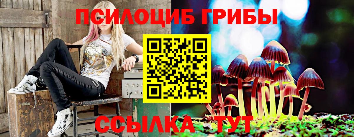 Псилоцибиновые грибы Magic Shrooms  Вход с VPN  Набережные Челны 