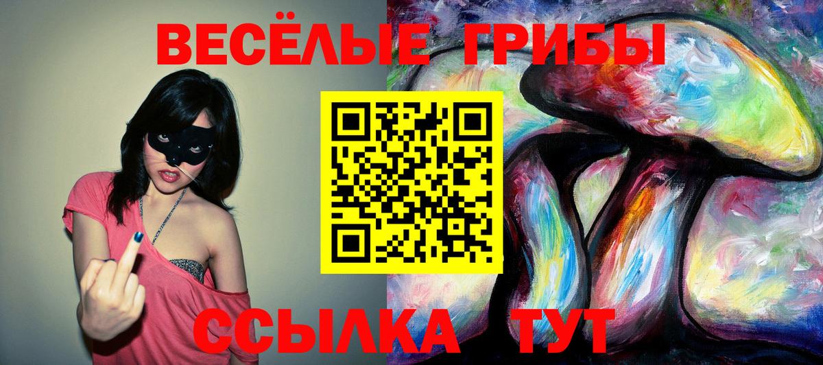 Галлюциногенные грибы Psilocybe Набережные Челны
